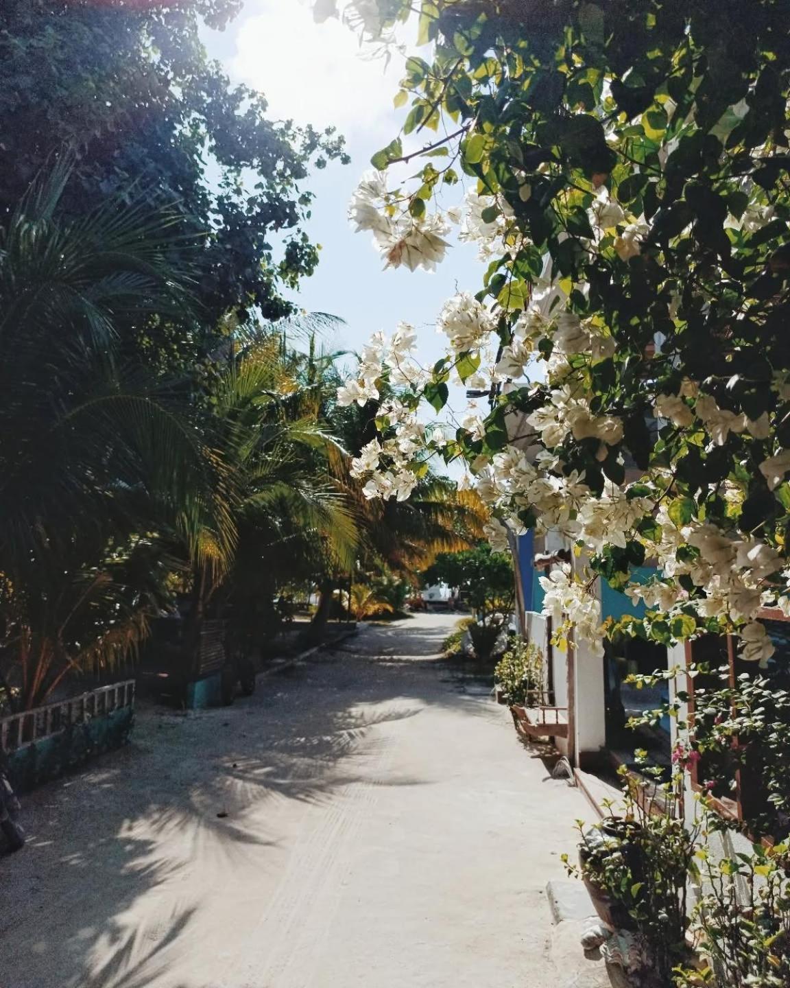 Kudhi Boli Beach House Thulusdhoo Extérieur photo